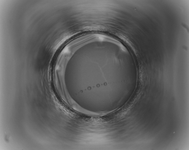 X0000100760983200807101723