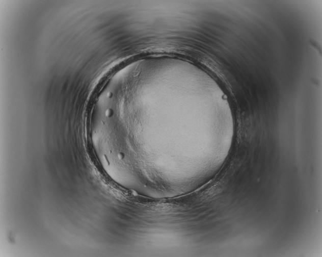 X0000100760984200807101723