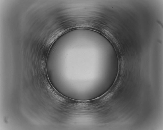 X0000100760985200807101723