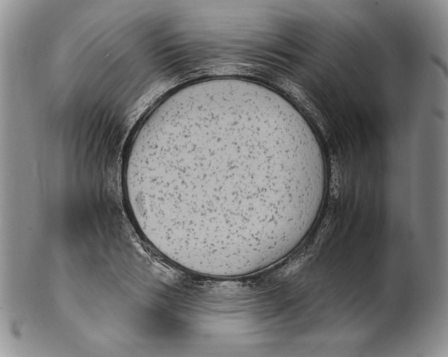 X0000100760986200807101723