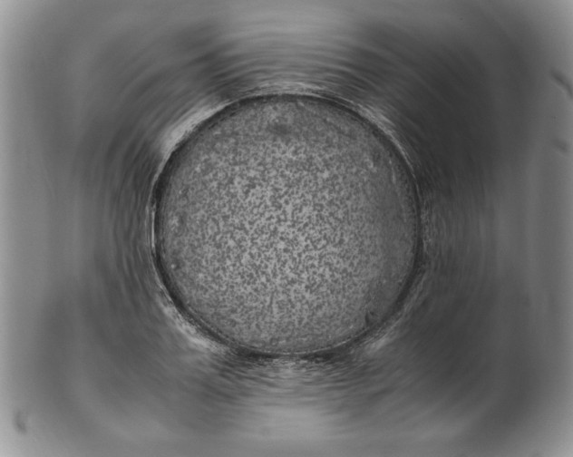 X0000100760987200807101723