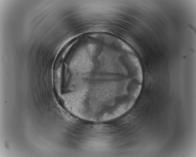 X0000100760988200807101723