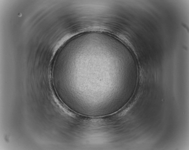 X0000100760989200807101723