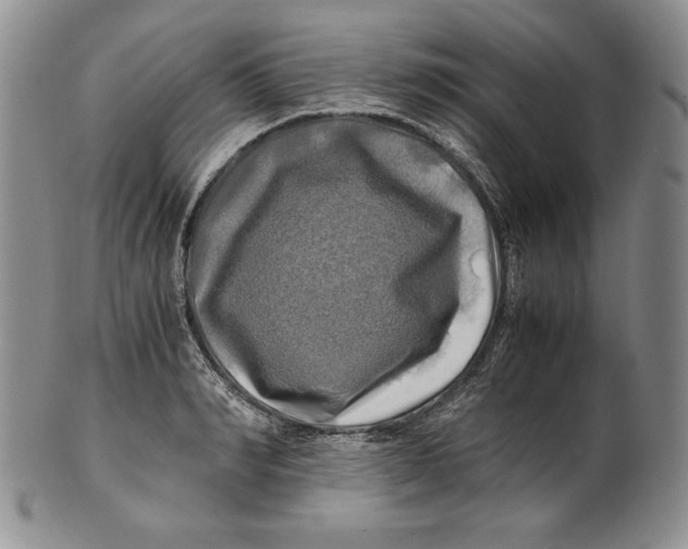 X0000100760990200807101723