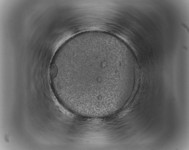 X0000100760991200807101723