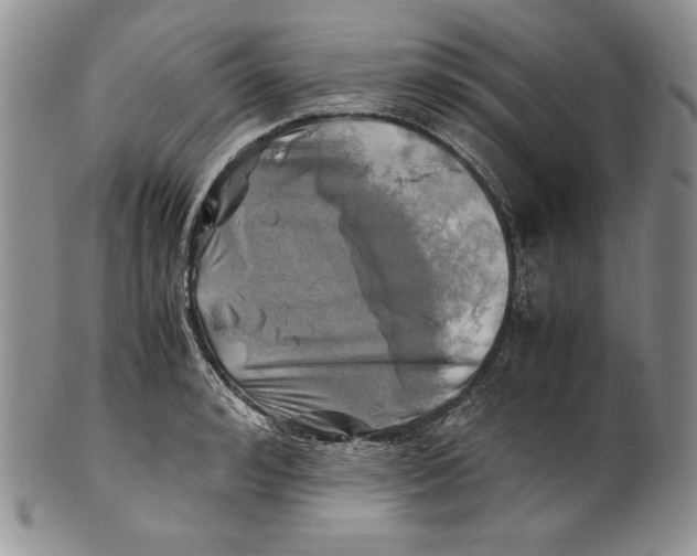 X0000100760992200807101723