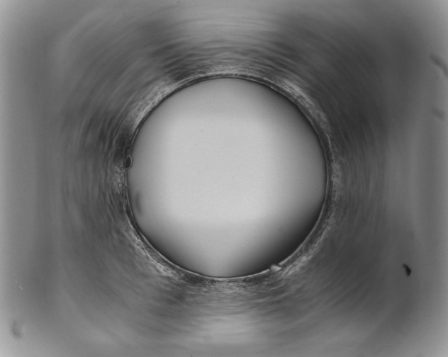 X0000100760993200807101723