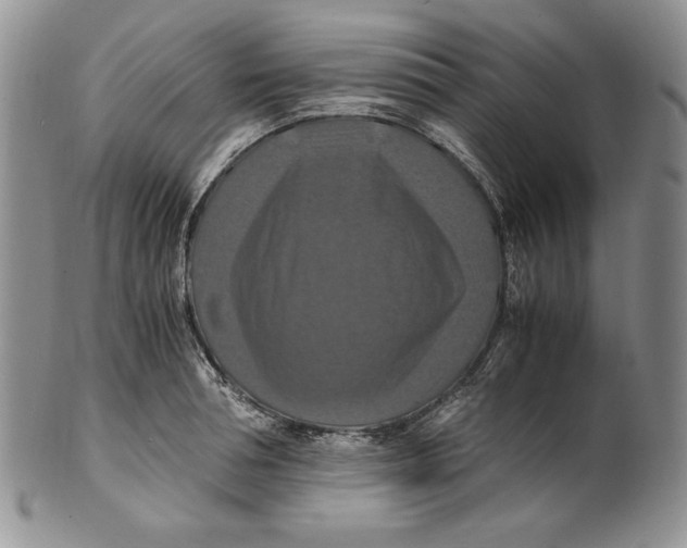 X0000100760994200807101723