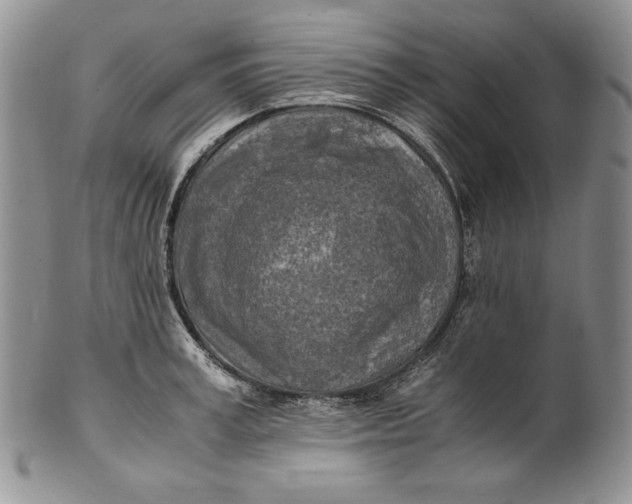 X0000100760995200807101723