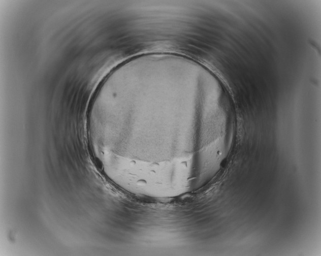 X0000100760996200807101723