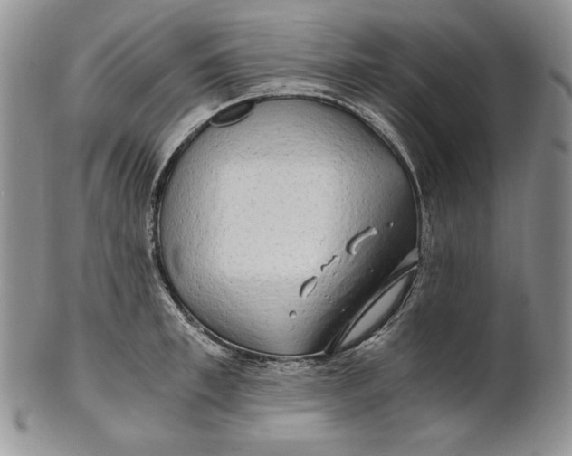 X0000100760997200807101723