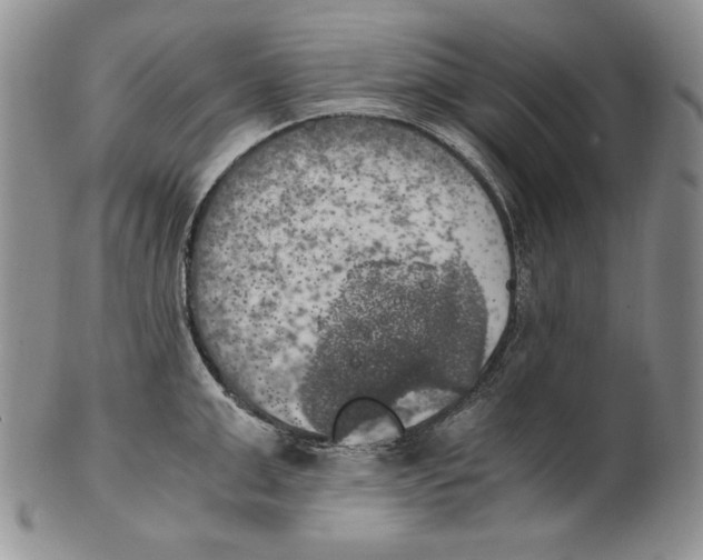 X0000100760999200807101723