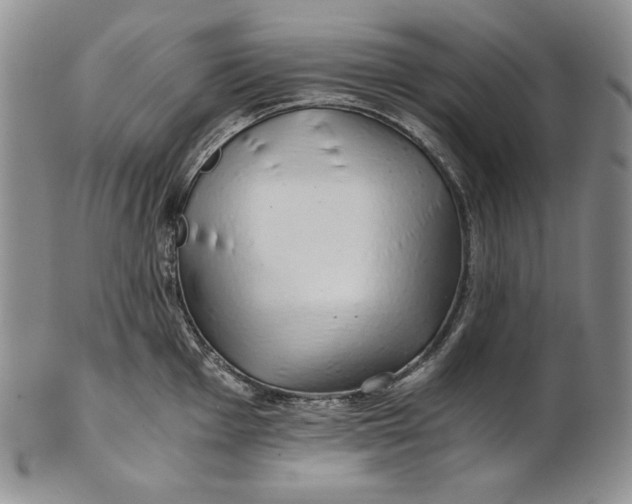 X0000100761001200807101723