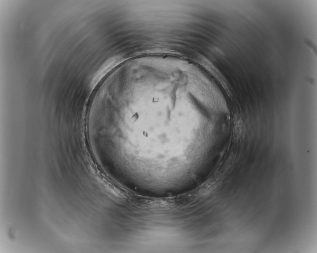 X0000100761002200807101723