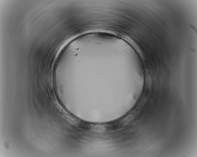 X0000100761004200807101723