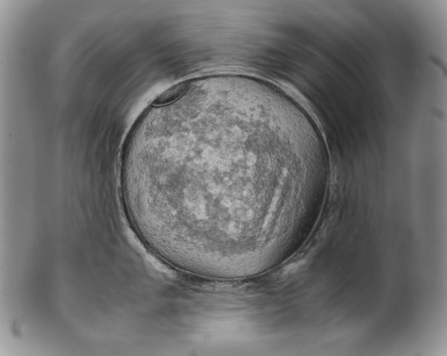 X0000100761005200807101723