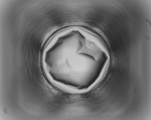 X0000100761006200807101723