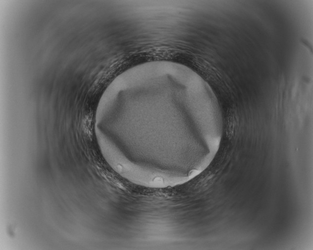 X0000100761010200807101722