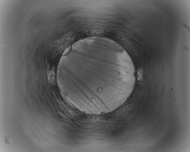 X0000100761011200807101722