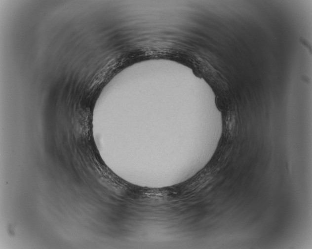 X0000100761012200807101722