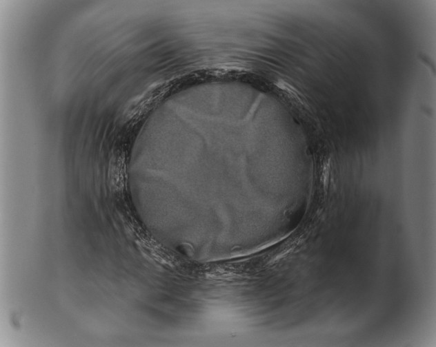 X0000100761014200807101722