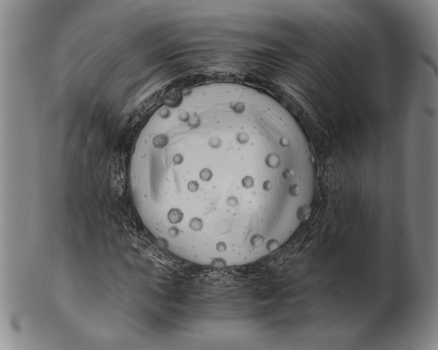 X0000100761015200807101722