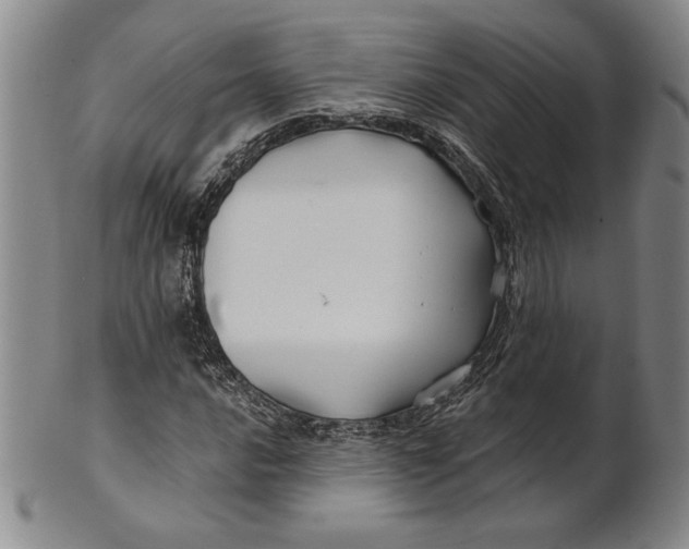 X0000100761016200807101722