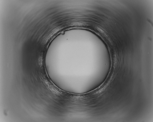 X0000100761017200807101722