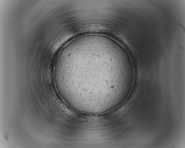 X0000100761018200807101722