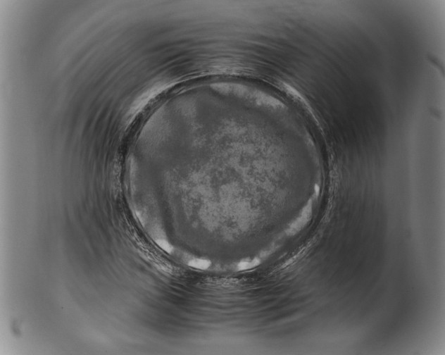 X0000100761019200807101722