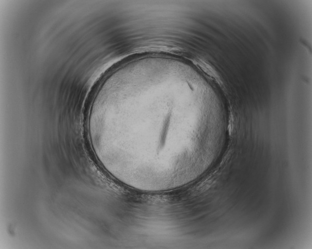 X0000100761020200807101722