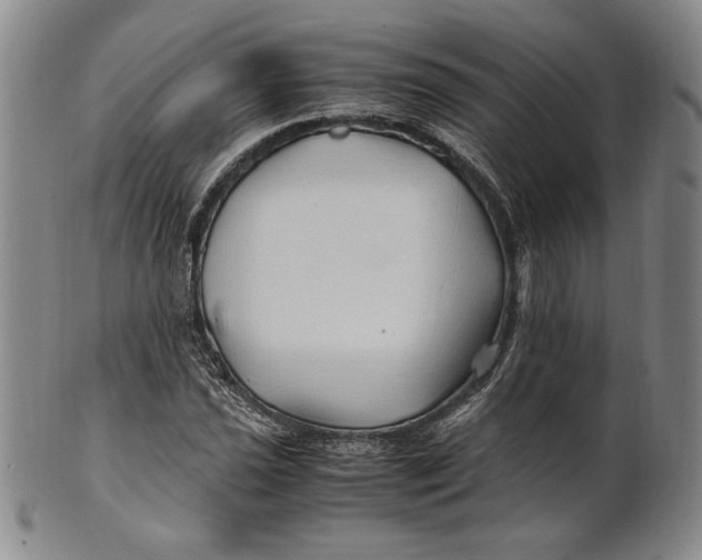 X0000100761021200807101722