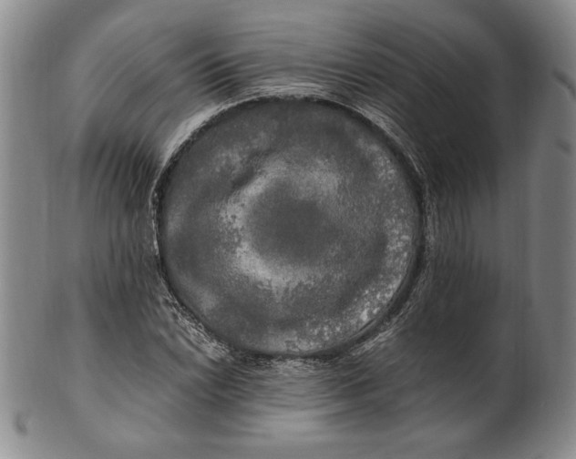 X0000100761022200807101722