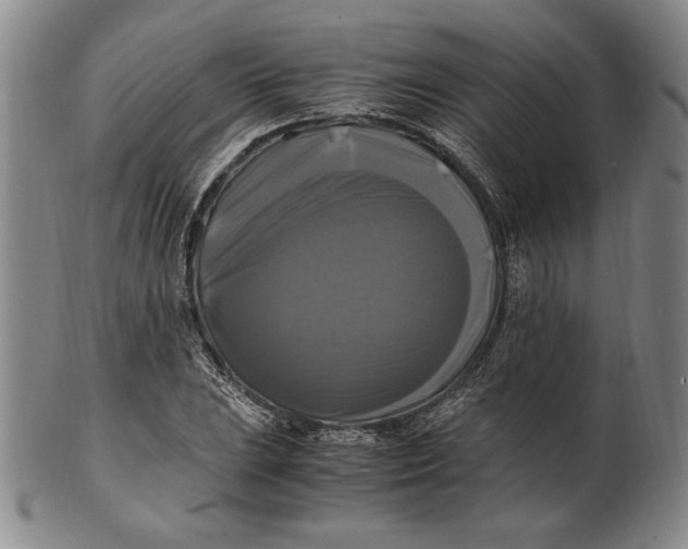 X0000100761023200807101722