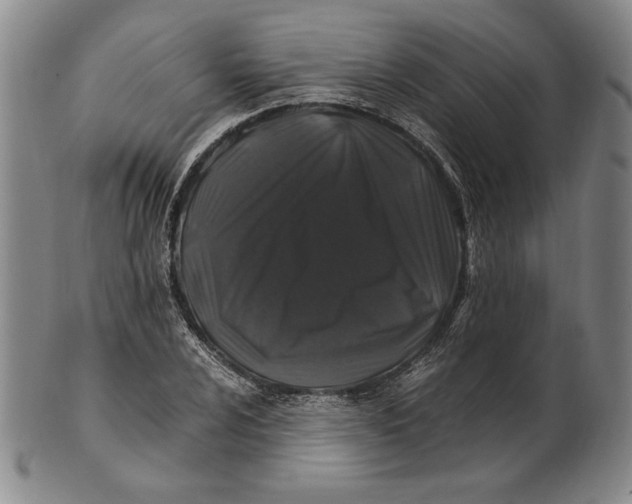 X0000100761024200807101722