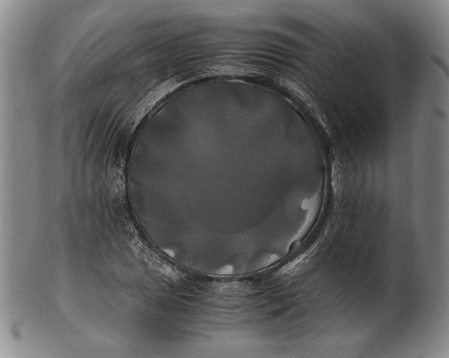 X0000100761025200807101722