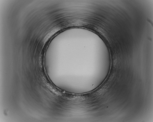 X0000100761026200807101722