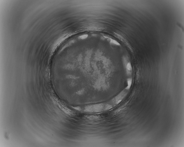 X0000100761027200807101722