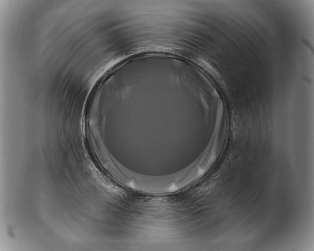 X0000100761028200807101722