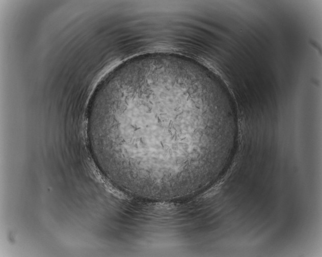 X0000100761029200807101722