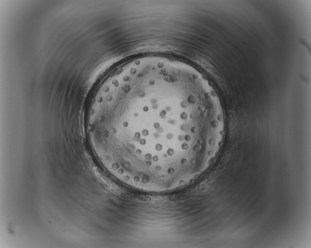 X0000100761030200807101722