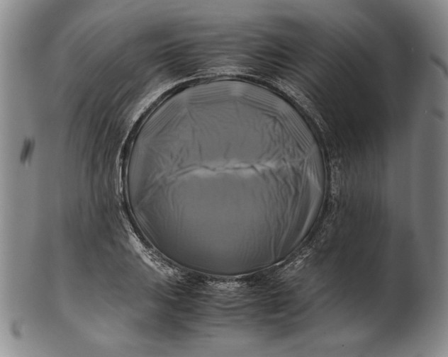 X0000100761031200807101722