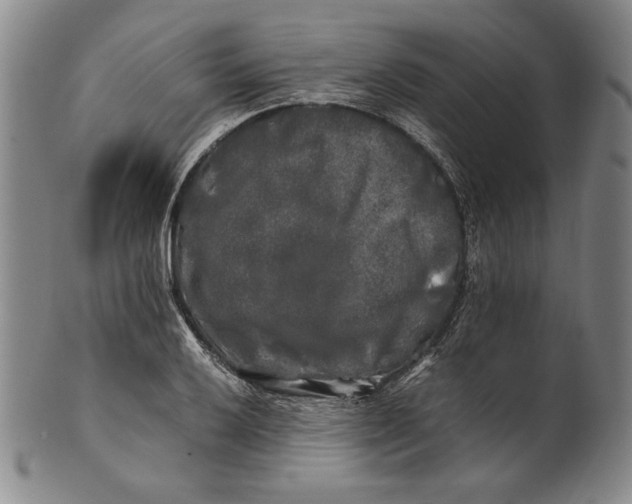 X0000100761032200807101722