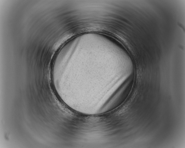 X0000100761034200807101722