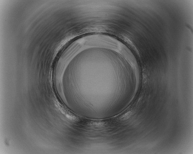 X0000100761035200807101722