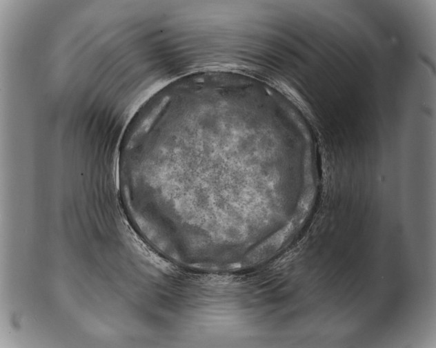 X0000100761036200807101722