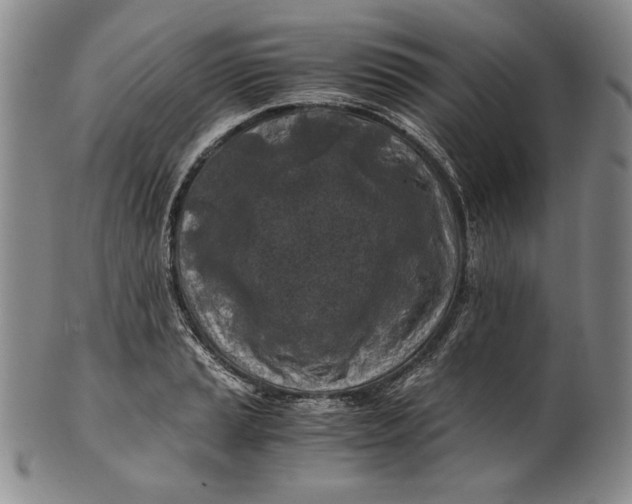 X0000100761037200807101722