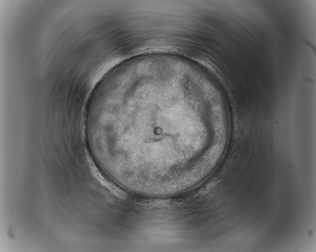 X0000100761038200807101722