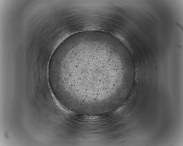 X0000100761039200807101722