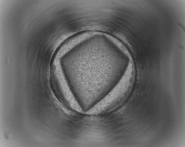 X0000100761040200807101722